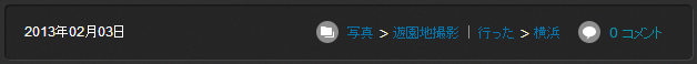 記事のカテゴリ表示部分に親子カテゴリ名を表示する.png