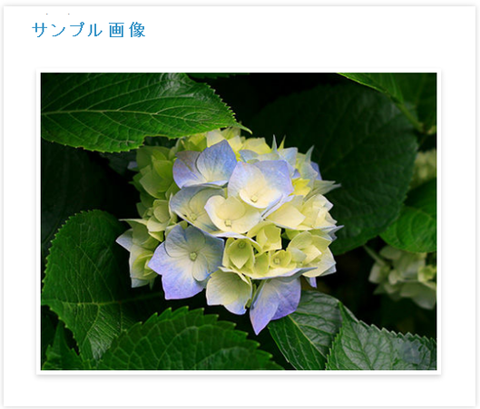 sample.png